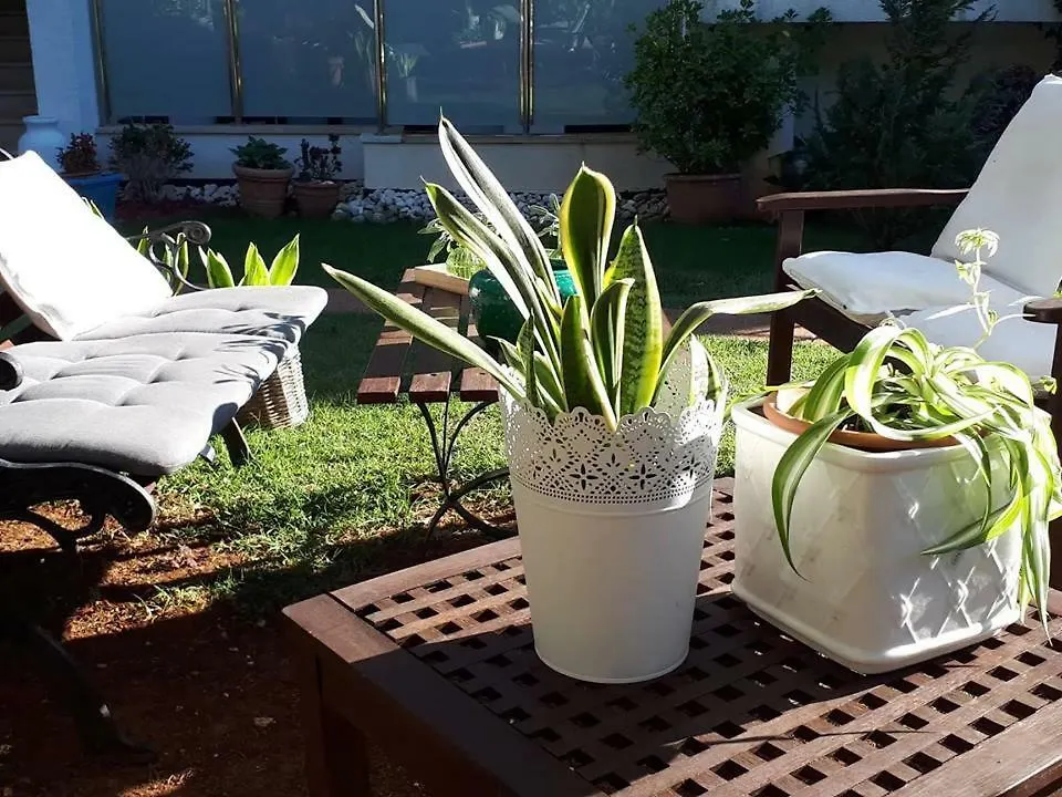 Apartment Villa Holiday II Pula Croatia